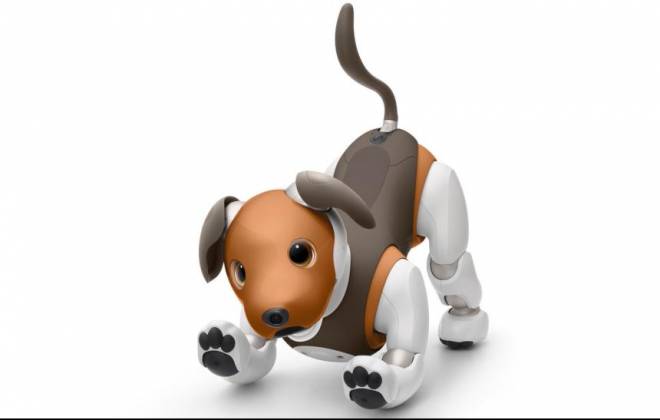 cachorro-da-sony